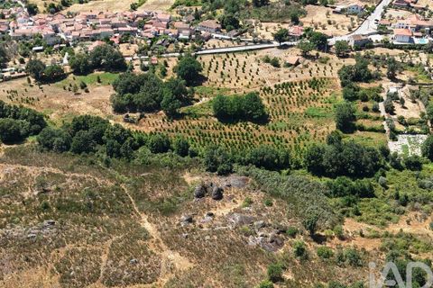 Grond in Mangualde, Viseu, Mangualde - € 110.000 | Ref: 955473 - foto 11