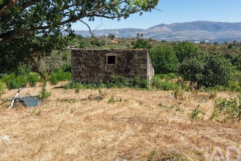 Grond in Mangualde, Viseu, Mangualde - € 110.000 | Ref: 955473 - foto 12