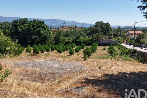 Grond in Mangualde, Viseu, Mangualde - € 110.000 | Ref: 955473 - foto 13