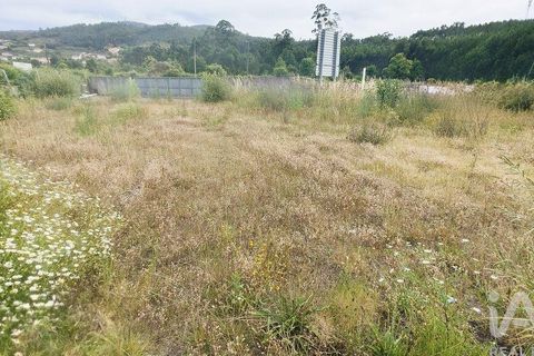 Terreno en Valenca, Viana do Castelo, Valenca - € 65.000 | Ref: 942828 - photo 10