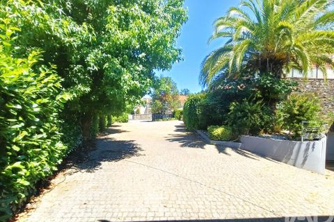 Byhus i Viana do Castelo, Viana do Castelo, Viana do Castelo - € 500.000 | Ref: 963054 - foto 4