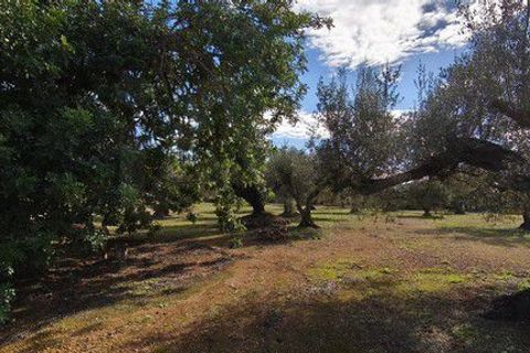 Helårsgrund i Tarragona, Tarragona, Tarragona - € 120.000 | Ref: 158120 - foto 6