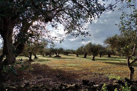 Helårsgrund i Tarragona, Tarragona, Tarragona - € 120.000 | Ref: 158120 - foto 10