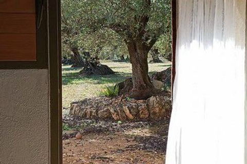 Helårsgrund i Tarragona, Tarragona, Tarragona - € 120.000 | Ref: 158120 - foto 18