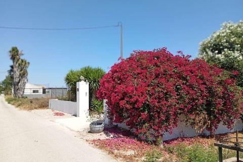 Finca i Daya Nueva, Alicante, Daya Nueva - € 395.000 | Ref: MCO-29884 - foto 5