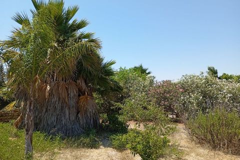 Finca i Daya Nueva, Alicante, Daya Nueva - € 395.000 | Ref: MCO-29884 - foto 25