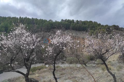 Landejendom i Lucar, Almeria, Lucar - € 55.000 | Ref: IX-14583 - foto 12