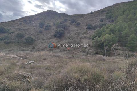 Landejendom i Lucar, Almeria, Lucar - € 55.000 | Ref: IX-14583 - foto 22