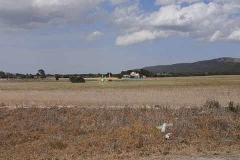 Villa a Villena, Alicante, Villena - € 1.000.000 | Ref: PNPT0012 - foto 35