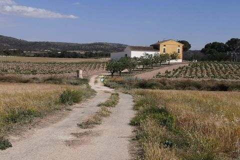 Villa a Villena, Alicante, Villena - € 1.000.000 | Ref: PNPT0012 - foto 39