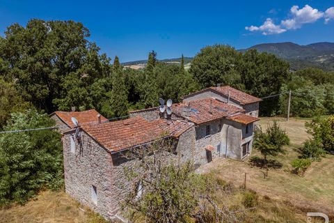 Masia a Bibbiena, Arezzo, Bibbiena - € 350.000 | Ref: R07286BIRU - foto 4