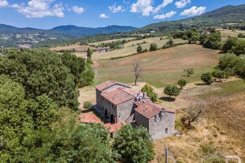 Masia a Bibbiena, Arezzo, Bibbiena - € 350.000 | Ref: R07286BIRU - foto 3