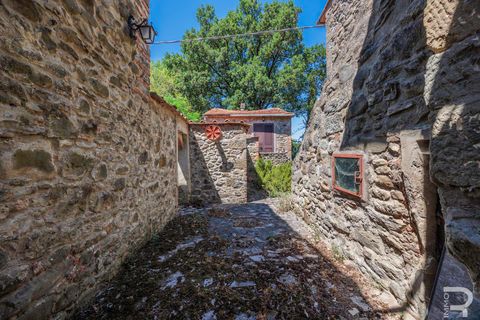 Masia a Bibbiena, Arezzo, Bibbiena - € 350.000 | Ref: R07286BIRU - foto 15
