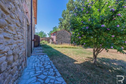 Masia a Bibbiena, Arezzo, Bibbiena - € 350.000 | Ref: R07286BIRU - foto 7