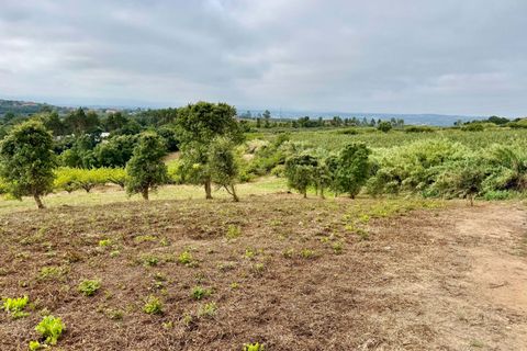 Helårsgrund i Obidos, Leiria, Obidos - € 70.000 | Ref: RVJ2951- - foto 2