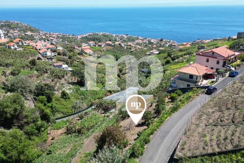 Grond in Ponta do Sol, Madeira, Ponta do Sol - € 180.000 | Ref: s8hl - foto 1