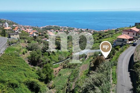Grond in Ponta do Sol, Madeira, Ponta do Sol - € 180.000 | Ref: s8hl - foto 3