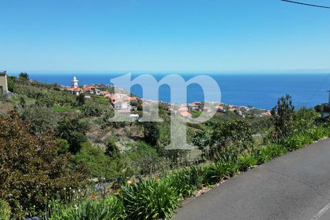 Grond in Ponta do Sol, Madeira, Ponta do Sol - € 180.000 | Ref: s8hl - foto 4