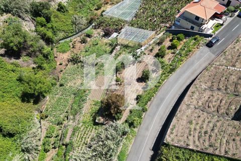 Grond in Ponta do Sol, Madeira, Ponta do Sol - € 180.000 | Ref: s8hl - foto 5