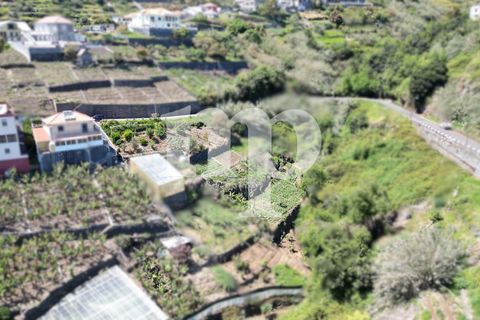 Grond in Ponta do Sol, Madeira, Ponta do Sol - € 180.000 | Ref: s8hl - foto 6