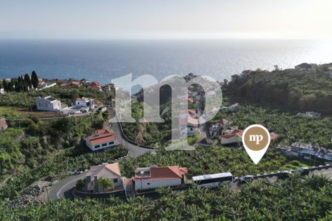 Grond in Ponta do Sol, Madeira, Ponta do Sol - € 200.000 | Ref: ihq4 - foto 3