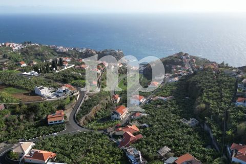 Grond in Ponta do Sol, Madeira, Ponta do Sol - € 200.000 | Ref: ihq4 - foto 4