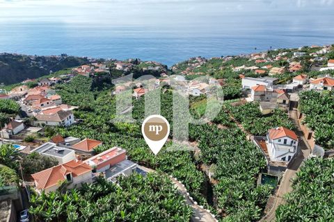 Tomt i Ponta do Sol, Madeira, Ponta do Sol - € 135 000 | Ref: tb7i - foto 1