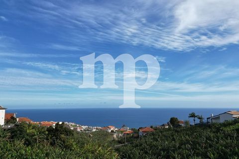 Tomt i Ponta do Sol, Madeira, Ponta do Sol - € 135 000 | Ref: tb7i - foto 2
