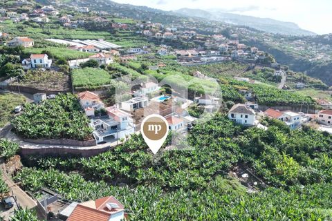 Tomt i Ponta do Sol, Madeira, Ponta do Sol - € 135 000 | Ref: tb7i - foto 3