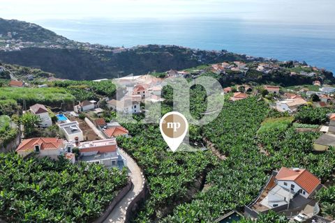 Tomt i Ponta do Sol, Madeira, Ponta do Sol - € 135 000 | Ref: tb7i - foto 4