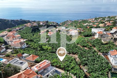 Tomt i Ponta do Sol, Madeira, Ponta do Sol - € 135 000 | Ref: tb7i - foto 5