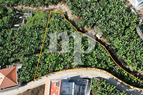 Tomt i Ponta do Sol, Madeira, Ponta do Sol - € 135 000 | Ref: tb7i - foto 6