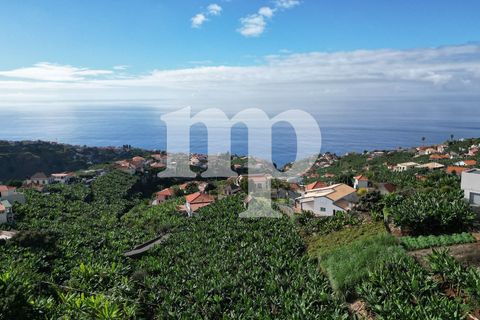 Tomt i Ponta do Sol, Madeira, Ponta do Sol - € 135 000 | Ref: tb7i - foto 7