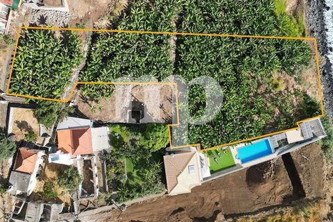 Grond in Arco da Calheta, Madeira, Arco da Calheta - € 2.100.000 | Ref: 42rs - foto 5