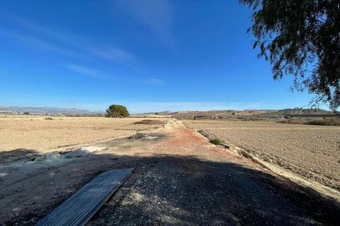 Herregård i Aspe, Alicante, Aspe - € 395 000 | Ref: WAC0561 - foto 33
