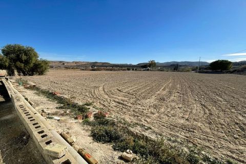 Herregård i Aspe, Alicante, Aspe - € 395 000 | Ref: WAC0561 - foto 34