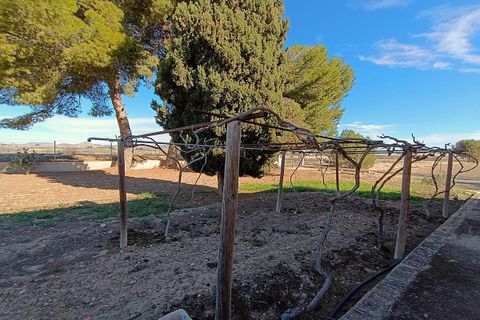 Herregård i Aspe, Alicante, Aspe - € 395 000 | Ref: WAC0561 - foto 32