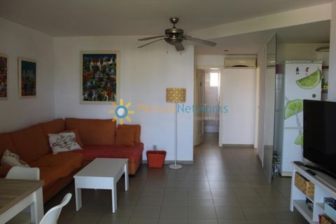 Apartment in Oliva, Valencia - photo 3