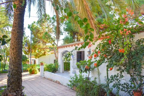 Villa em Punta Prima, Alicante, Punta Prima - € 560.000 | Ref: -750290 - foto 11