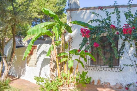 Villa em Punta Prima, Alicante, Punta Prima - € 560.000 | Ref: -750290 - foto 15
