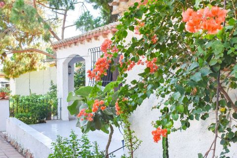 Villa em Punta Prima, Alicante, Punta Prima - € 560.000 | Ref: -750290 - foto 17