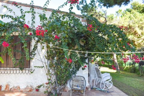 Villa em Punta Prima, Alicante, Punta Prima - € 560.000 | Ref: -750290 - foto 44