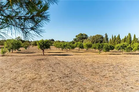 Herregård i Algaida, Mallorca, Algaida - € 1 590 000 | Ref: 45728 - foto 27