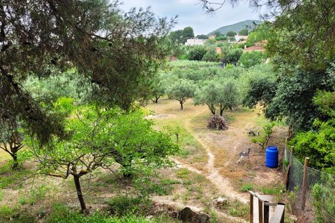 Villa en Ontinyent, Valencia, Ontinyent - € 250.000 | Ref: LOSDH3560 - photo 25