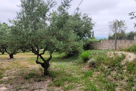 Villa en Ontinyent, Valencia, Ontinyent - € 250.000 | Ref: LOSDH3560 - photo 32