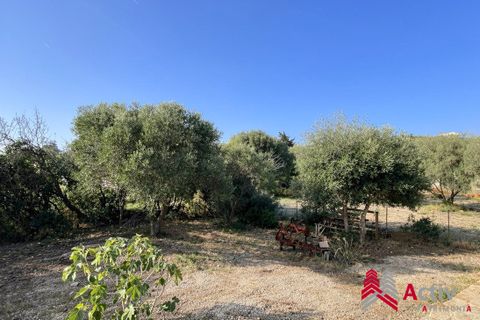 Villa a Fitou, Aude, Fitou - € 448.500 | Ref: VM1186-ACTIVPATRIMONIA - foto 10