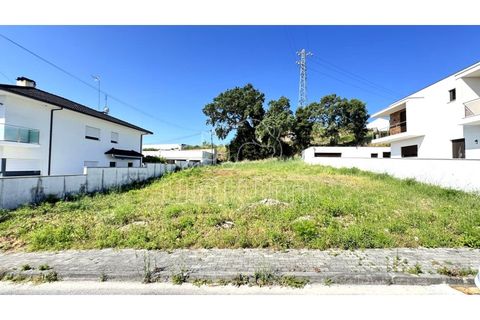 Terra em Darque, Viana do Castelo, Darque - € 117.500 | Ref: R5563 - foto 2