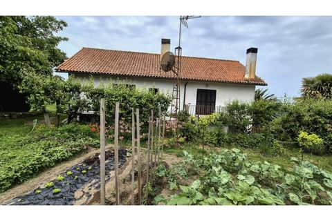 Villa i Esposende, Braga, Esposende - € 330.000 | Ref: VCM14669 - foto 19