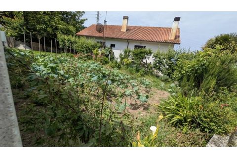 Villa i Esposende, Braga, Esposende - € 330.000 | Ref: VCM14669 - foto 22