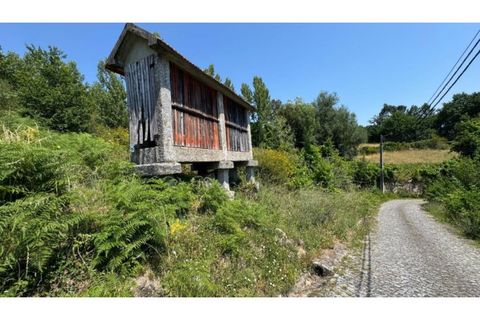 Tomt i Baiao, Porto, Baiao - € 47 000 | Ref: MC09944 - foto 19